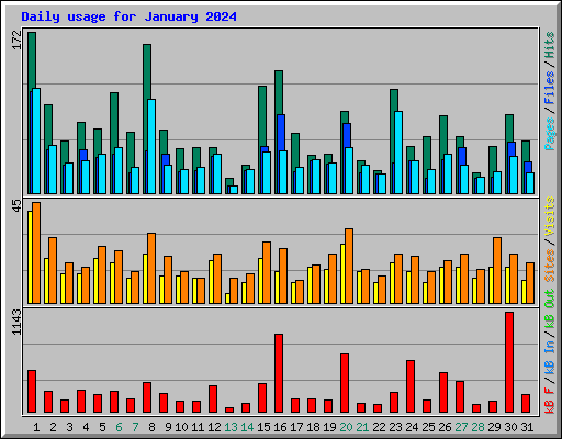 Daily usage for January 2024