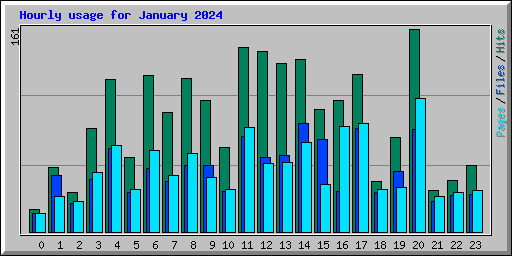 Hourly usage for January 2024