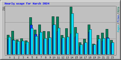 Hourly usage for March 2024