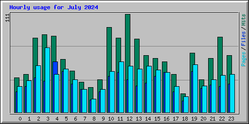 Hourly usage for July 2024