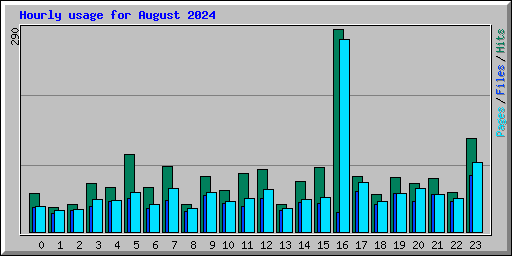 Hourly usage for August 2024