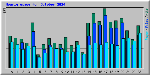 Hourly usage for October 2024