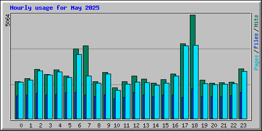 Hourly usage for May 2025