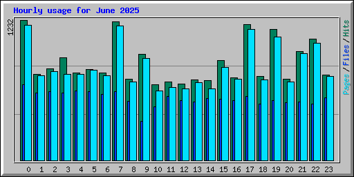 Hourly usage for June 2025
