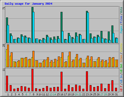 Daily usage for January 2024