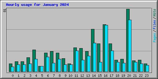 Hourly usage for January 2024