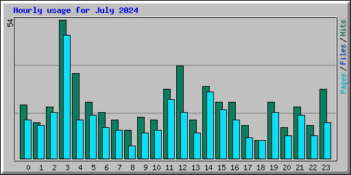 Hourly usage for July 2024